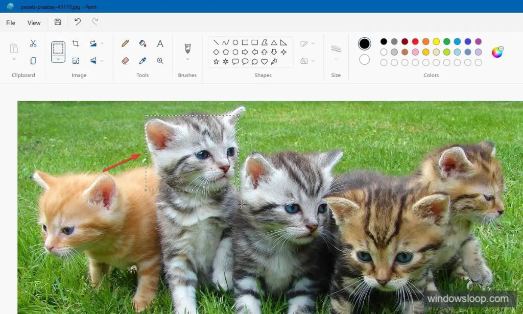 выделить область для размытия в Paint