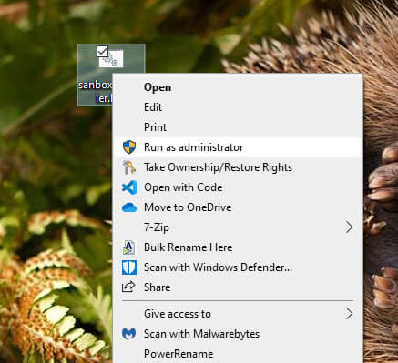 Windows-sandbox-in-home-edition-run-file